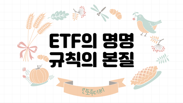 ETF의 명명 규칙의 본질