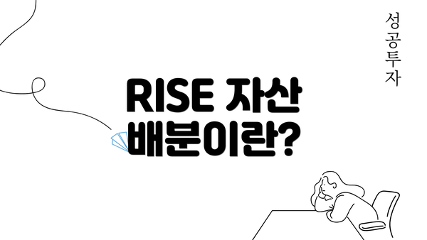 RISE 자산 배분이란?