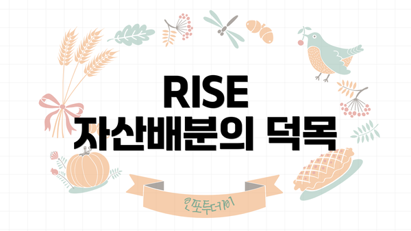 RISE 자산배분의 덕목