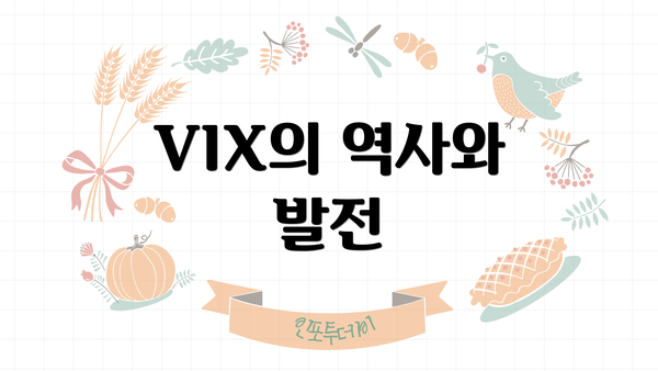 VIX의 역사와 발전