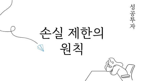 손실 제한의 원칙