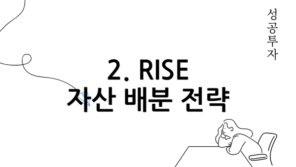 2. RISE 자산 배분 전략