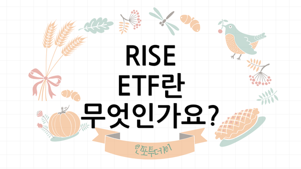 RISE ETF란 무엇인가요?