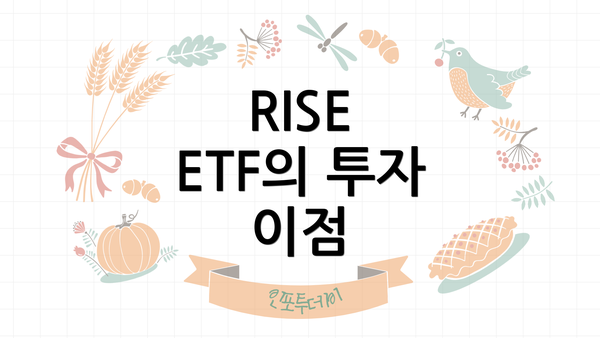 RISE ETF의 투자 이점