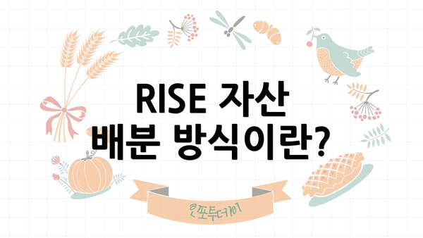 RISE 자산 배분 방식이란?