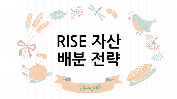 RISE 자산 배분 전략