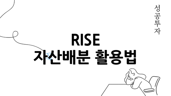 RISE 자산배분 활용법