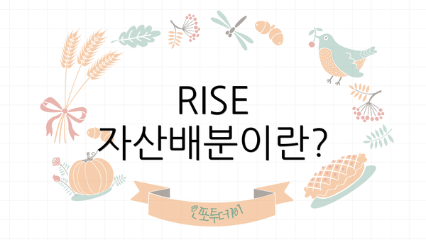 RISE 자산배분이란?