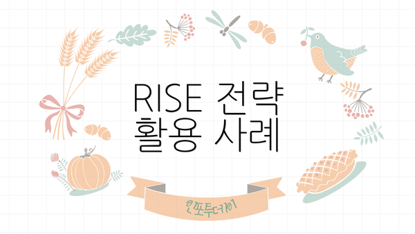 RISE 전략 활용 사례