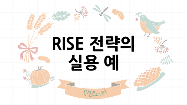 RISE 전략의 실용 예