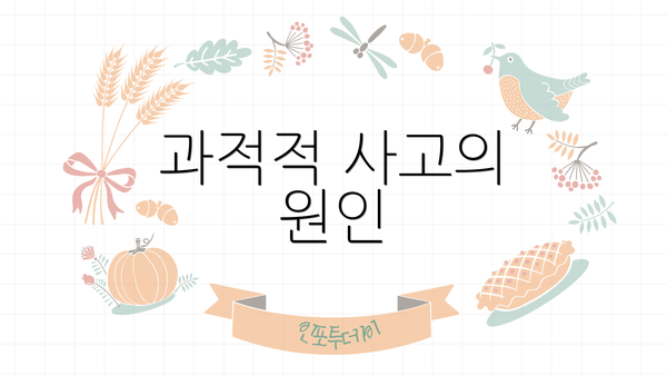 과적적 사고의 원인
