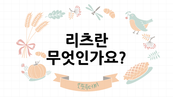 리츠란 무엇인가요?