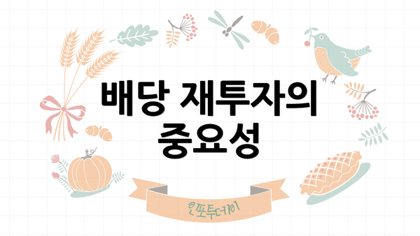 배당 재투자의 중요성