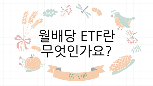 월배당 ETF란 무엇인가요?