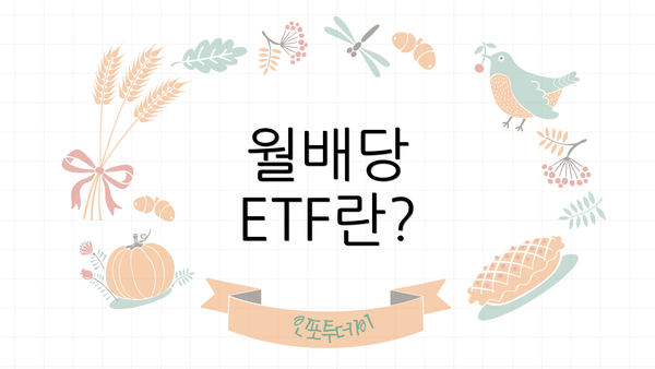 월배당 ETF란?