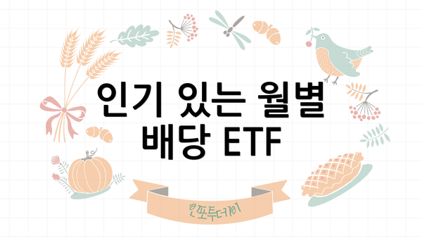 인기 있는 월별 배당 ETF